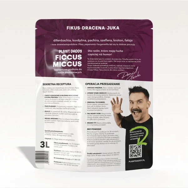 FICCUS-BACK Ficcus-Miccus