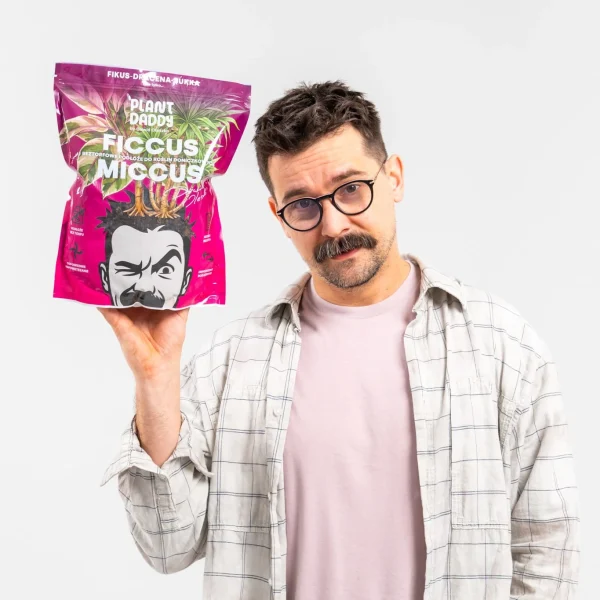 ficcus4-kopia Ficcus-Miccus
