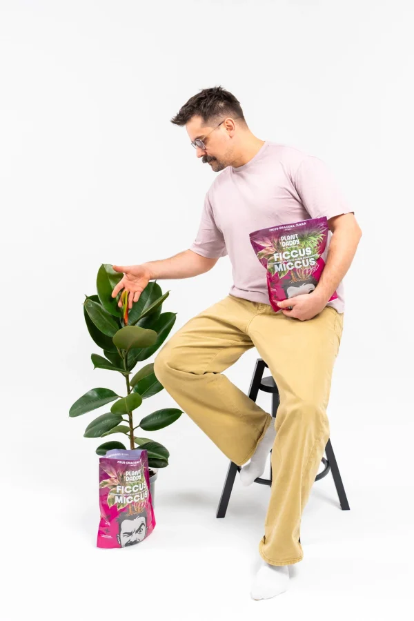 ficcus6 Ficcus-Miccus