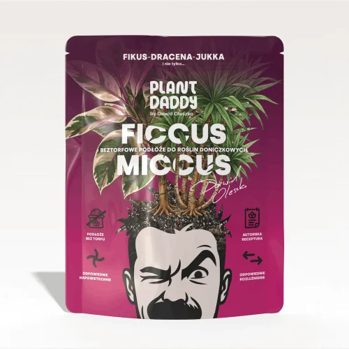 FICCUSMICCUS Ficcus-Miccus